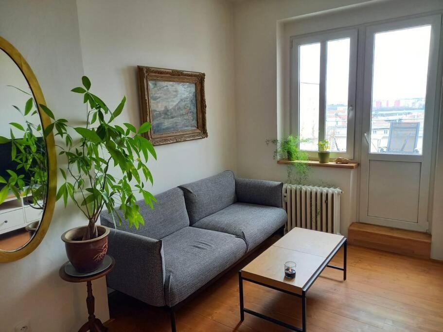 Daire With Large Terrace *